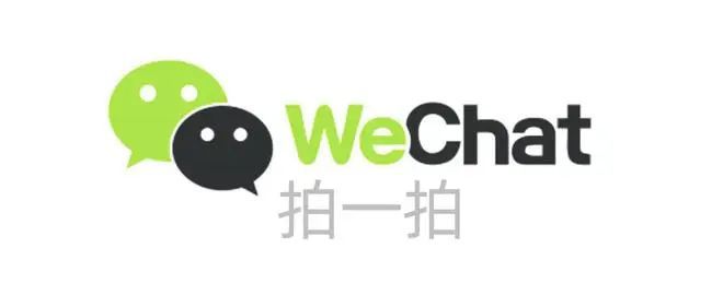 拍：增强沟通趣味性的新方式凯发k8一触即发微信拍一(图2)